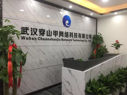 武漢穿山甲網絡科技 專業的網絡技術服務提供商
