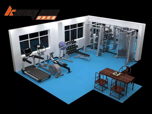企事業(yè)單位健身房網(wǎng)絡(luò)化健身器材工廠設(shè)計(jì)配置服務(wù)方案